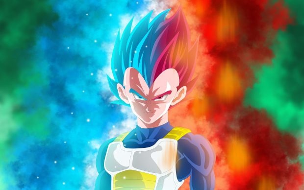 Vegeta Dragon Ball Z Wallpaper HD.