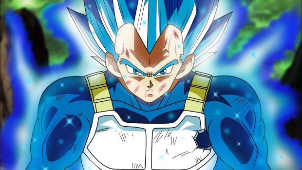 Vegeta Gohan Wallpaper HD.