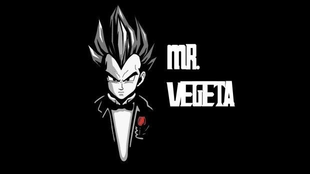 Vegeta Wide Screen Wallpaper HD.