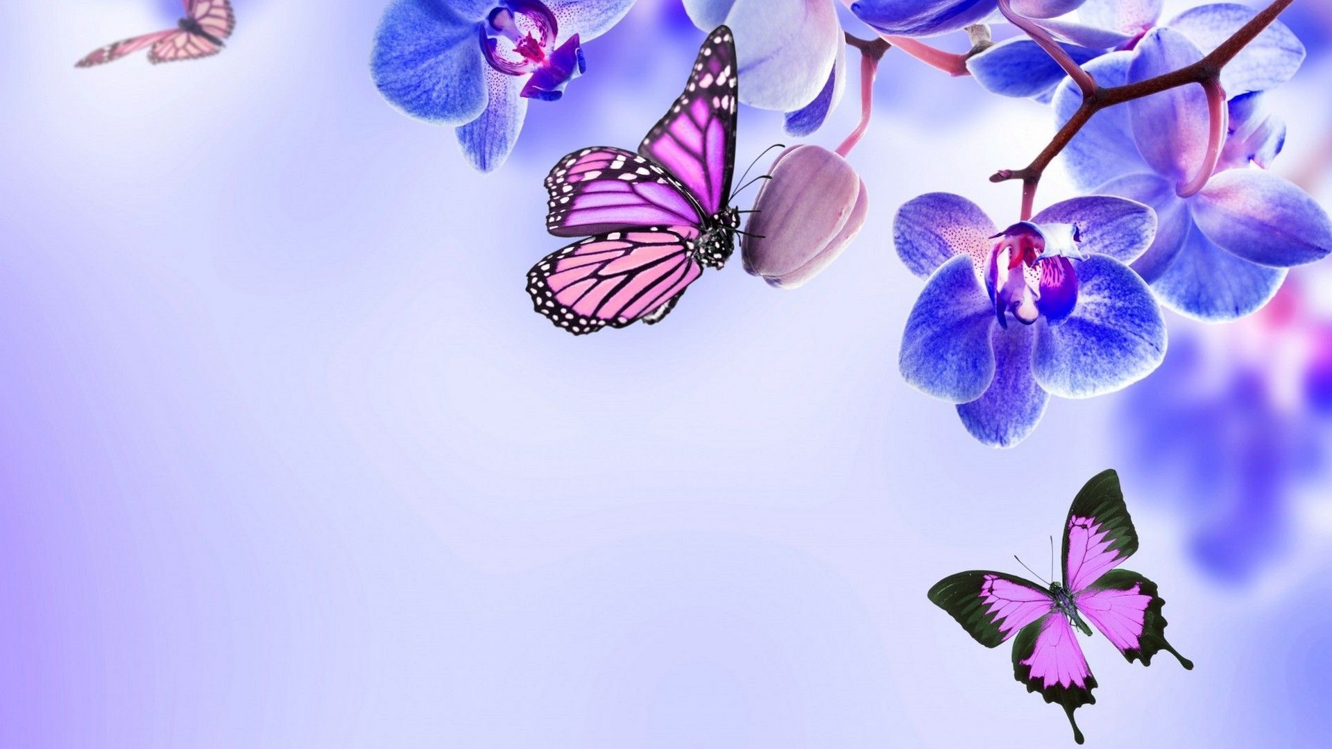 Butterfly Wallpaper 4K Neon Glowing 2171