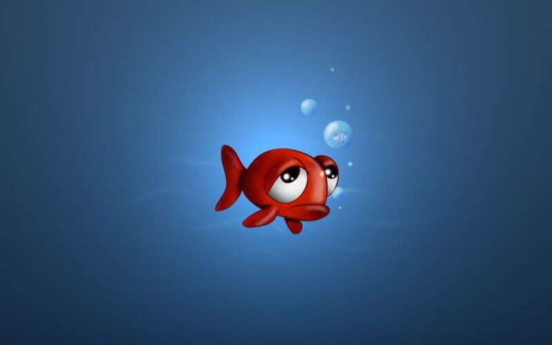 Cool Fish Wallpapers HD - PixelsTalk