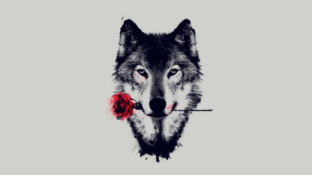 Wallpaper Wolf.