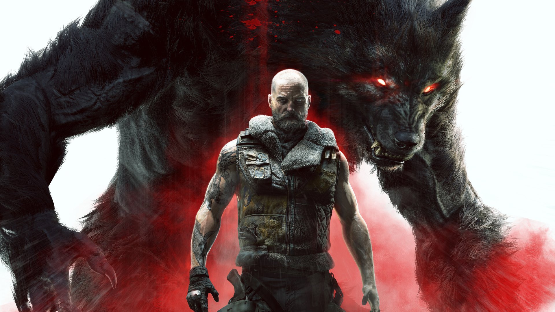 Dark Werewolf on Throne Live Wallpaper  free download