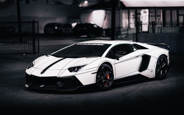 White Lamborghini Wallpaper HD.