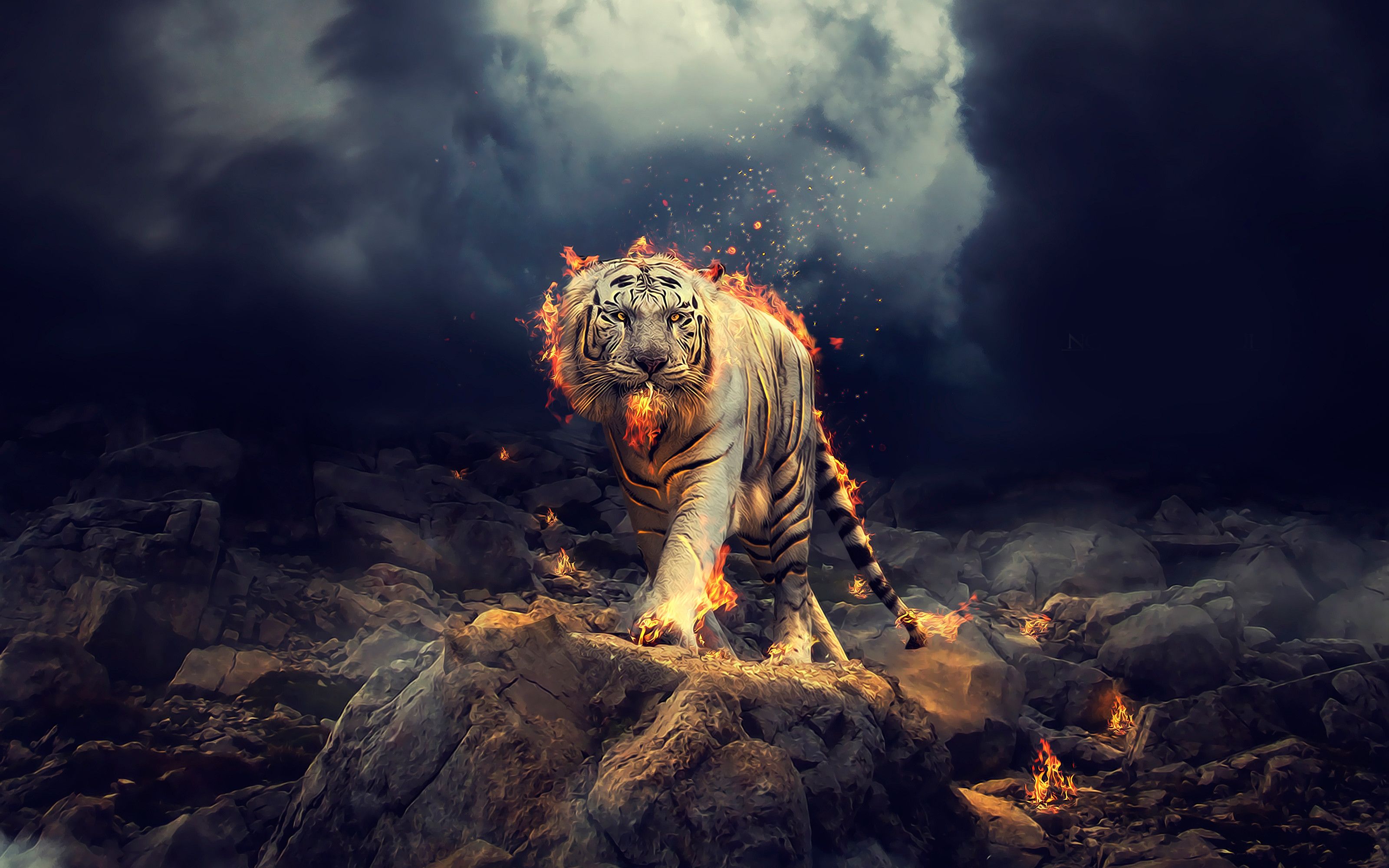 Wallpaper 4k White Tiger Bengal Tiger Wallpaper