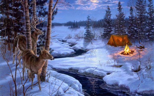 Winter Animal Wallpaper Desktop.