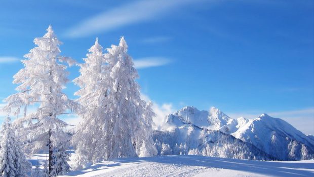 Winter Background Free Download.