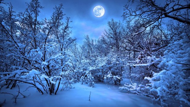Winter Cool Computer Backgrounds HD.
