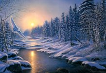 Winter Desktop Background.
