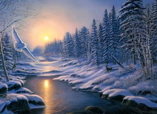 Winter Wallpapers category 