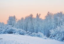 Winter Desktop HD Wallpaper.