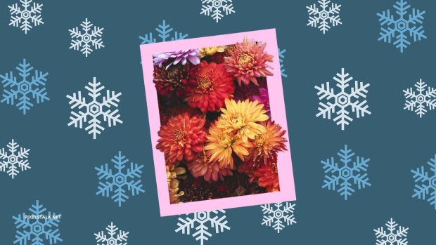 Winter Flower Wallpaper Free Download.