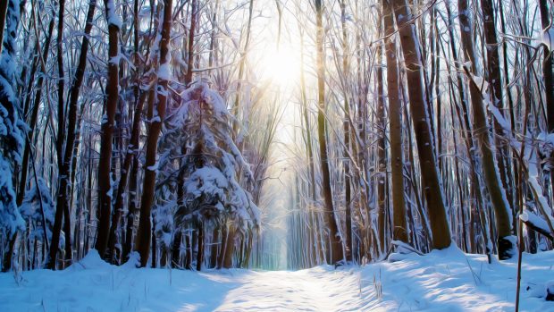 Winter Forest 4K Art Photo.