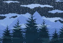 Winter Forest Wallpaper for Desktop.