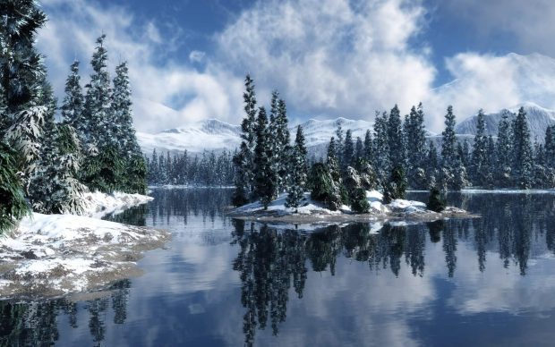 Winter Forest Wallpaper for PC.