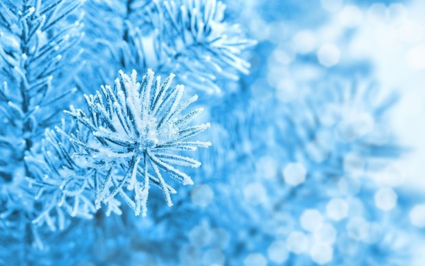 Winter Ice Wallpaper HD.