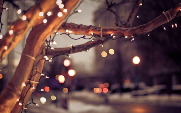 Winter Lights HD Wallpaper.