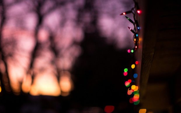 Winter Lights HD Wallpaper Free download.