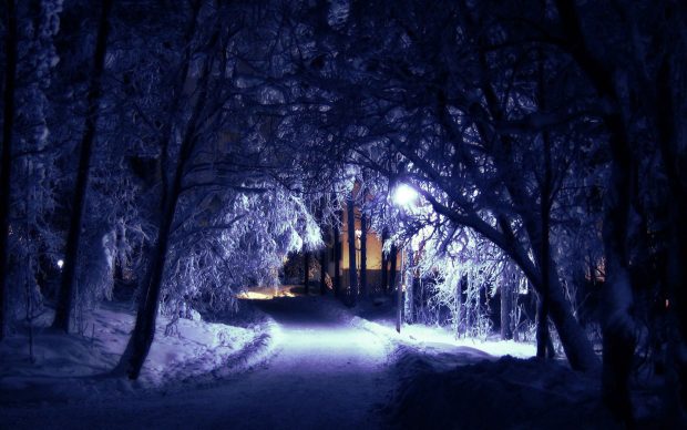 Winter Night Background.