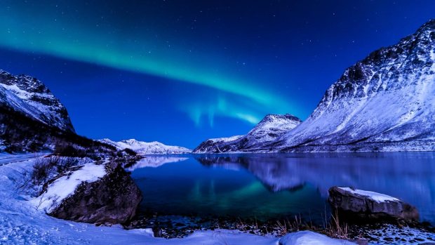 Winter Night HD Wallpaper.