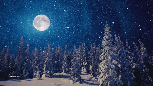 Winter Night Wallpaper HD Free download.