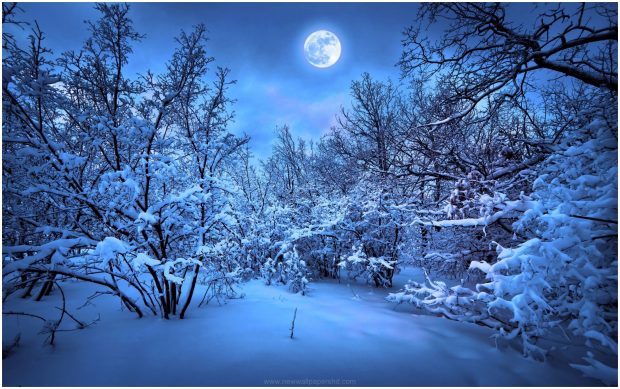 Winter Night Wallpaper High Resolution.