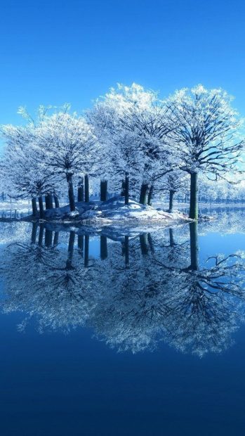 Winter Phone HD Wallpaper.