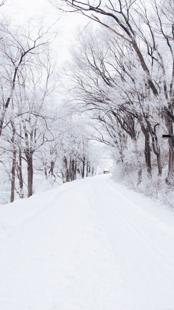 Winter Phone Snow Background HD.