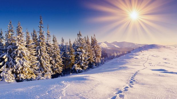 Winter Sun Wallpapers HD.