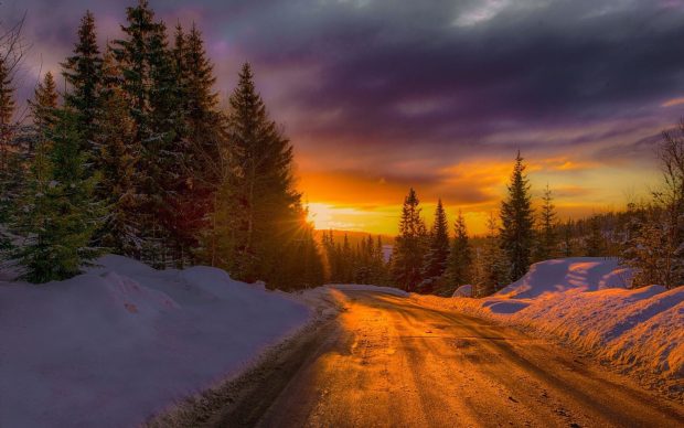Winter Sunset HD Wallpaper Free download.
