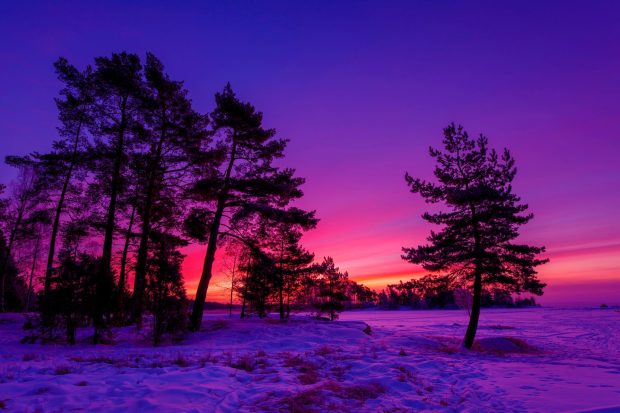 Winter Sunset Wallpaper HD.