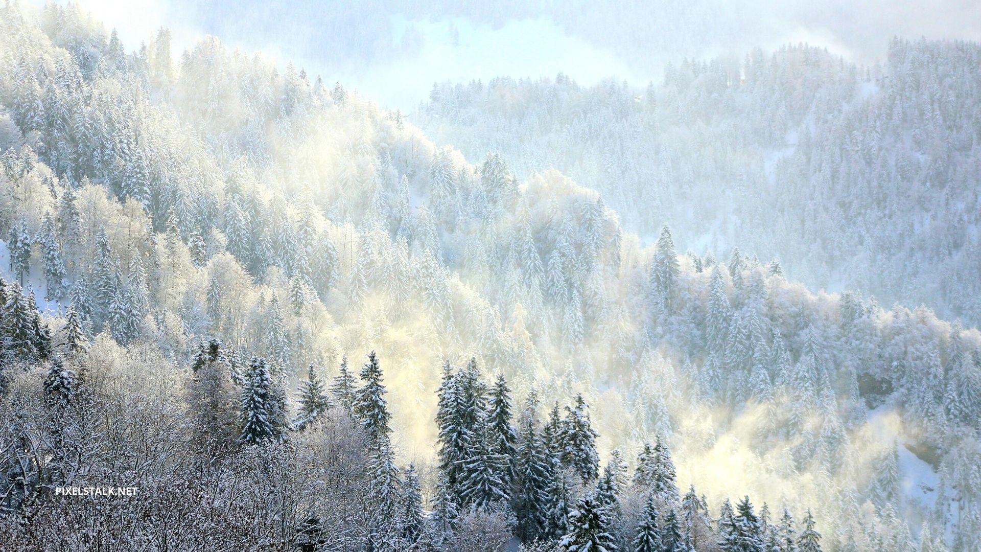 Winter Wallpaper HD Free Download 