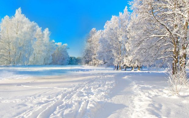 Winter Wallpaper High Quality.