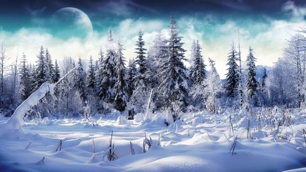 Winter Wonderland Background.