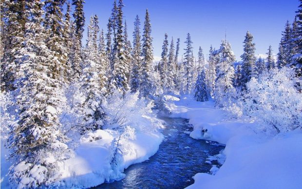 Winter Wonderland HD Wallpaper Free download.