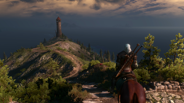 Witcher Wide Screen Wallpaper.