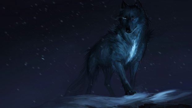 Wolf 4K Wallpaper for PC.