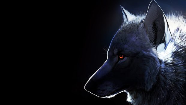 Wolf Backgrounds Free Download.