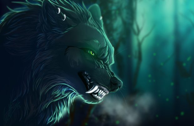 Wolf Backgrounds HD 1080p.