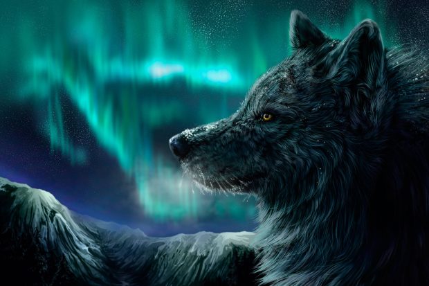 Wolf Northern Lights Wallpaper HD.