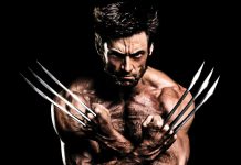 Wolverine Wallpaper HD Free download.