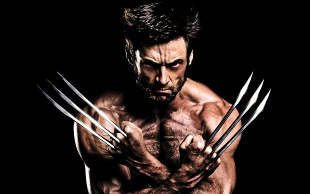 Wolverine Wallpaper HD Free download.
