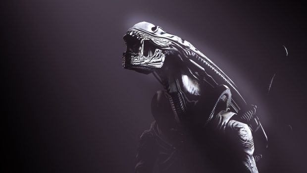 Xenomorph Desktop Wallpaper.