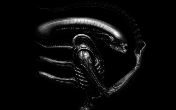 Xenomorph HD Wallpaper.