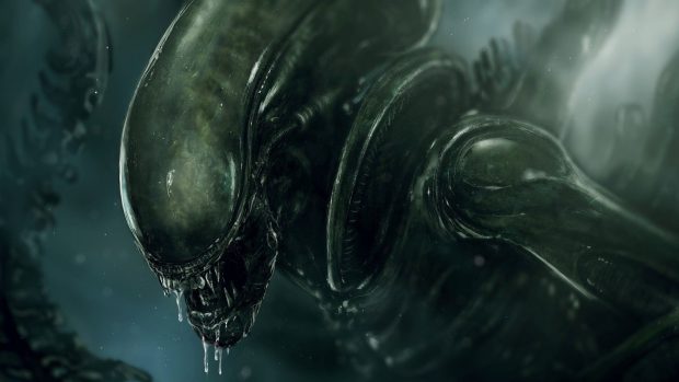 Xenomorph HD Wallpaper Free download.