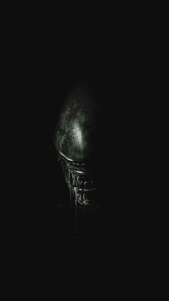 Xenomorph Phone Wallpaper HD.