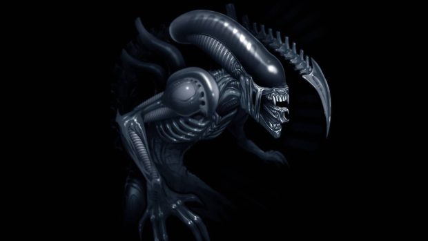 Xenomorph Wide Screen Wallpaper.