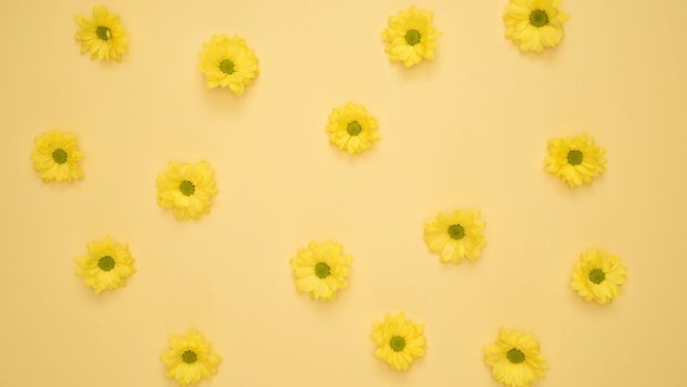 Yellow Aesthetic Backgrounds HD Flower.