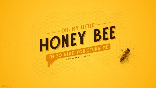 Yellow Aesthetic Wallpaper HD Honey Bee.