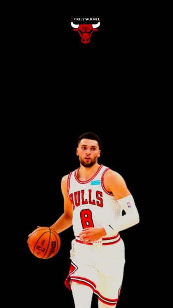 Zach Lavine Wallpaper.